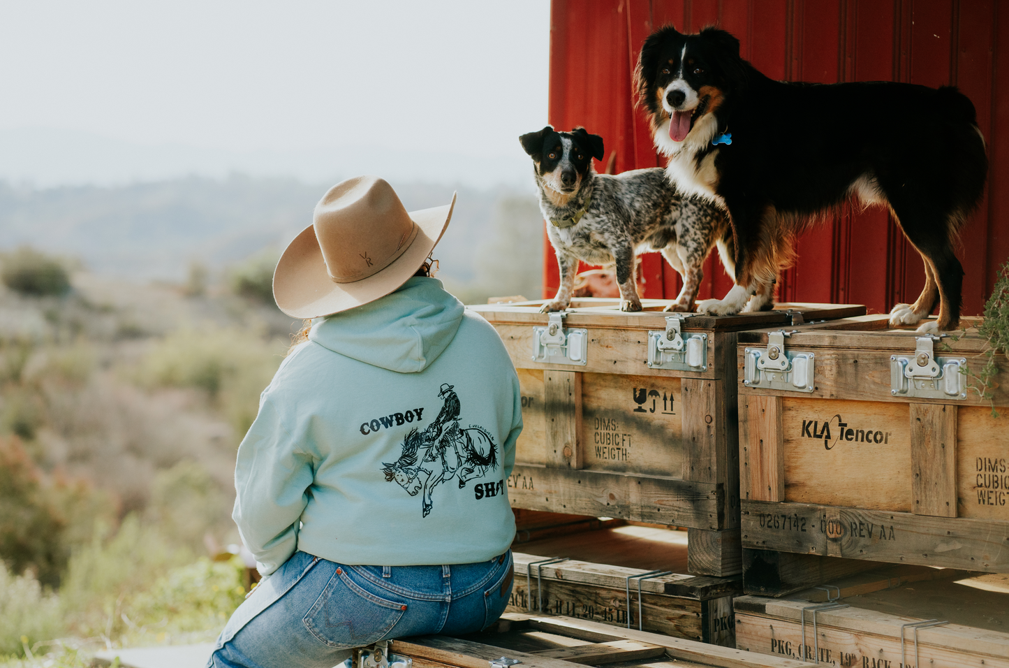 Cowboy Shit Hoodie